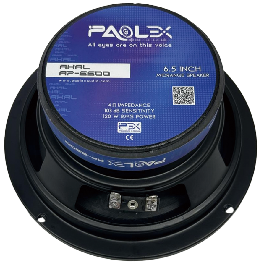 AKAL-AP-6500-1