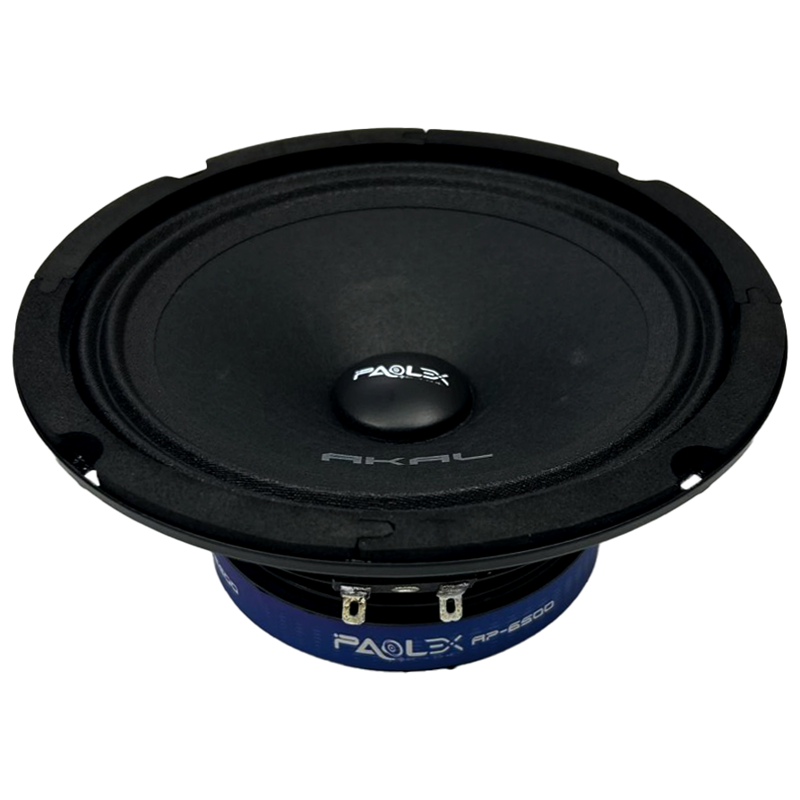AKAL-AP-6500-3